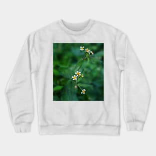 Cute wild daisies Crewneck Sweatshirt